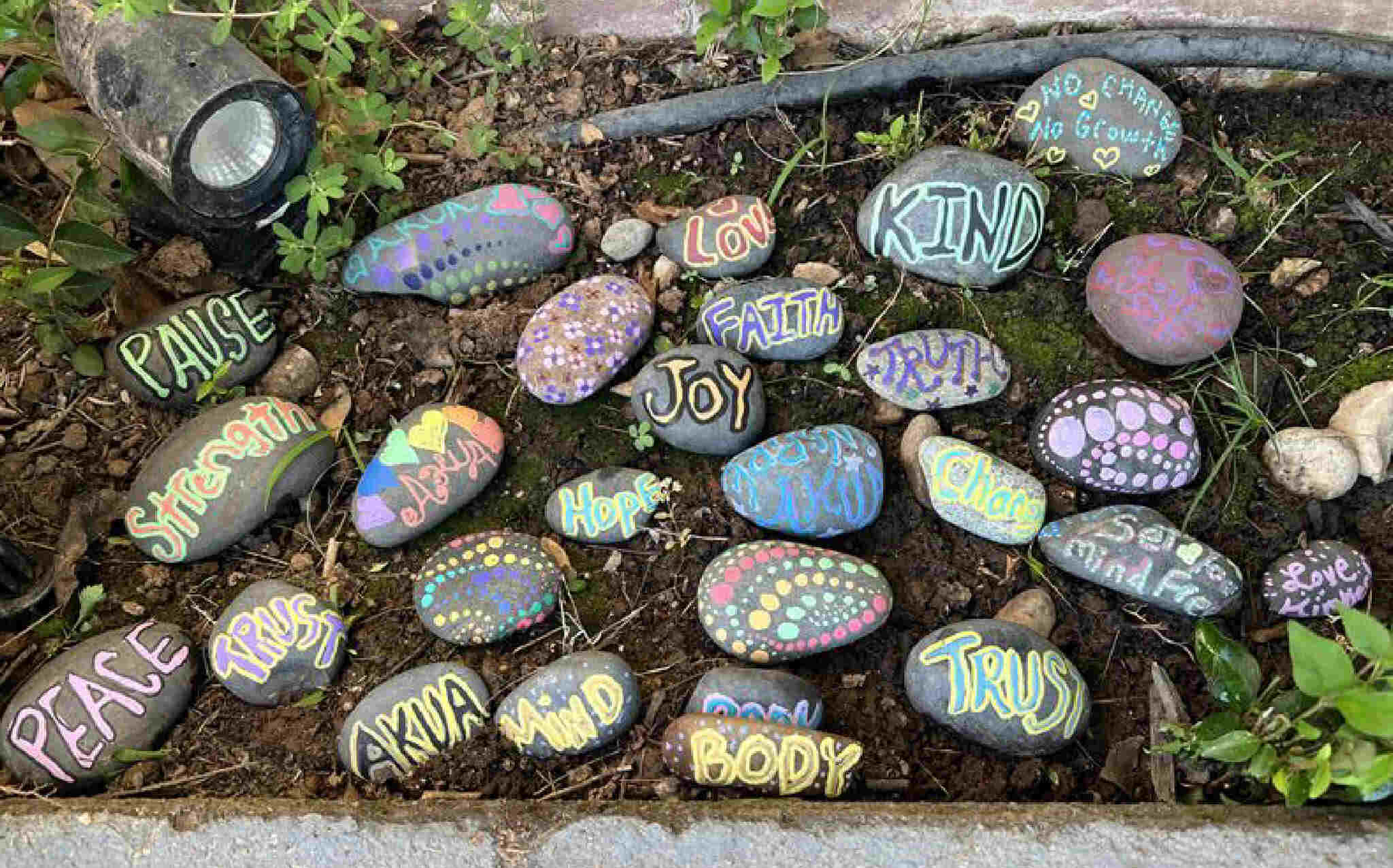A Multifaceted Approach to Tackling the Opioid Crisis in California