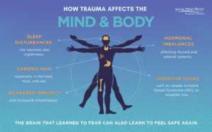 How Trauma Shapes the Mind and Body