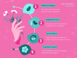 The Detox Cycle
