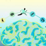 Neuroplasticity and Recovery